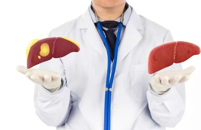 Doctor Holding Two Livers with Lab Coat On